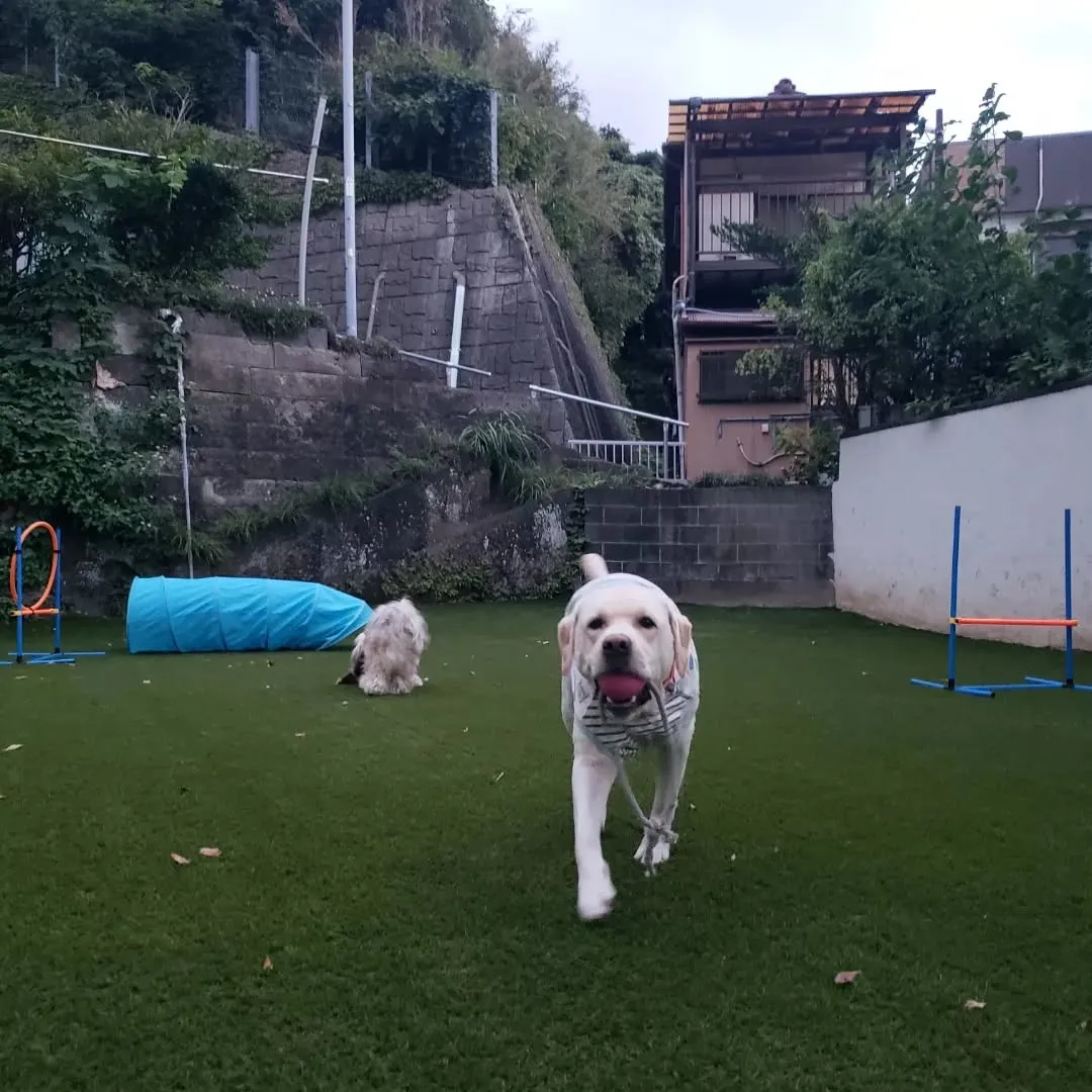 朝からよいお天気☀️