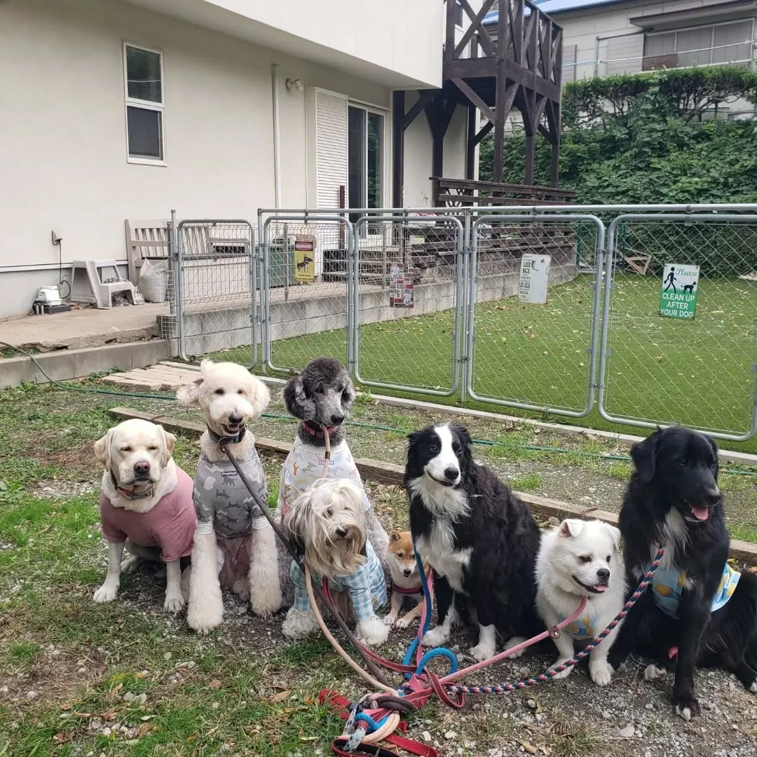 朝台風が心配でしたが思ったほど風も強くなかったので朝送迎に行...