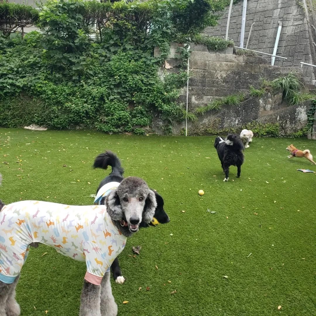 朝台風が心配でしたが思ったほど風も強くなかったので朝送迎に行...