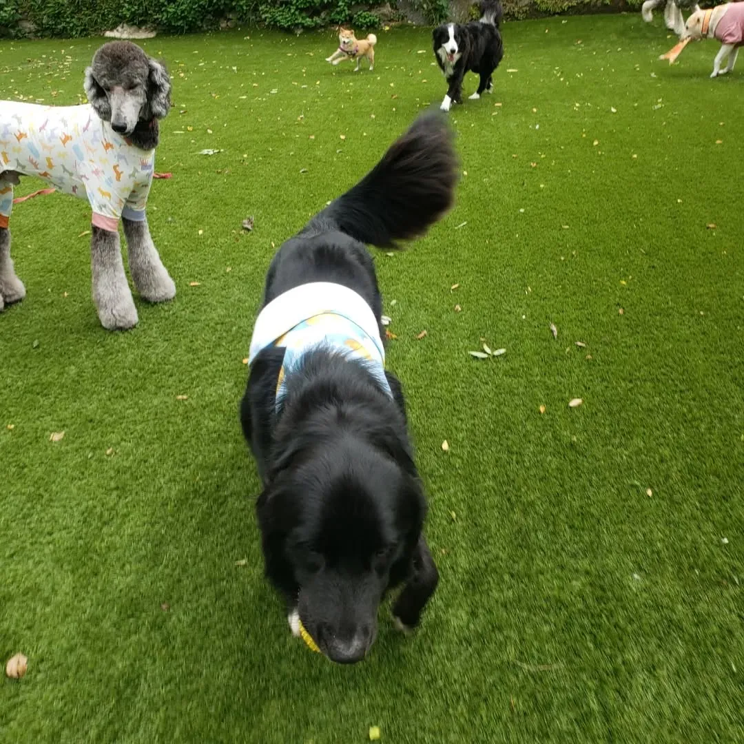 朝台風が心配でしたが思ったほど風も強くなかったので朝送迎に行...