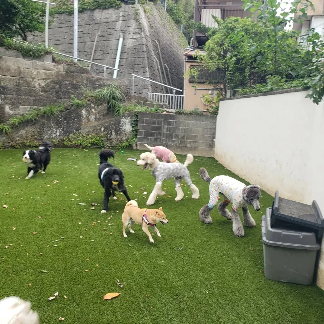 朝台風が心配でしたが思ったほど風も強くなかったので朝送迎に行...