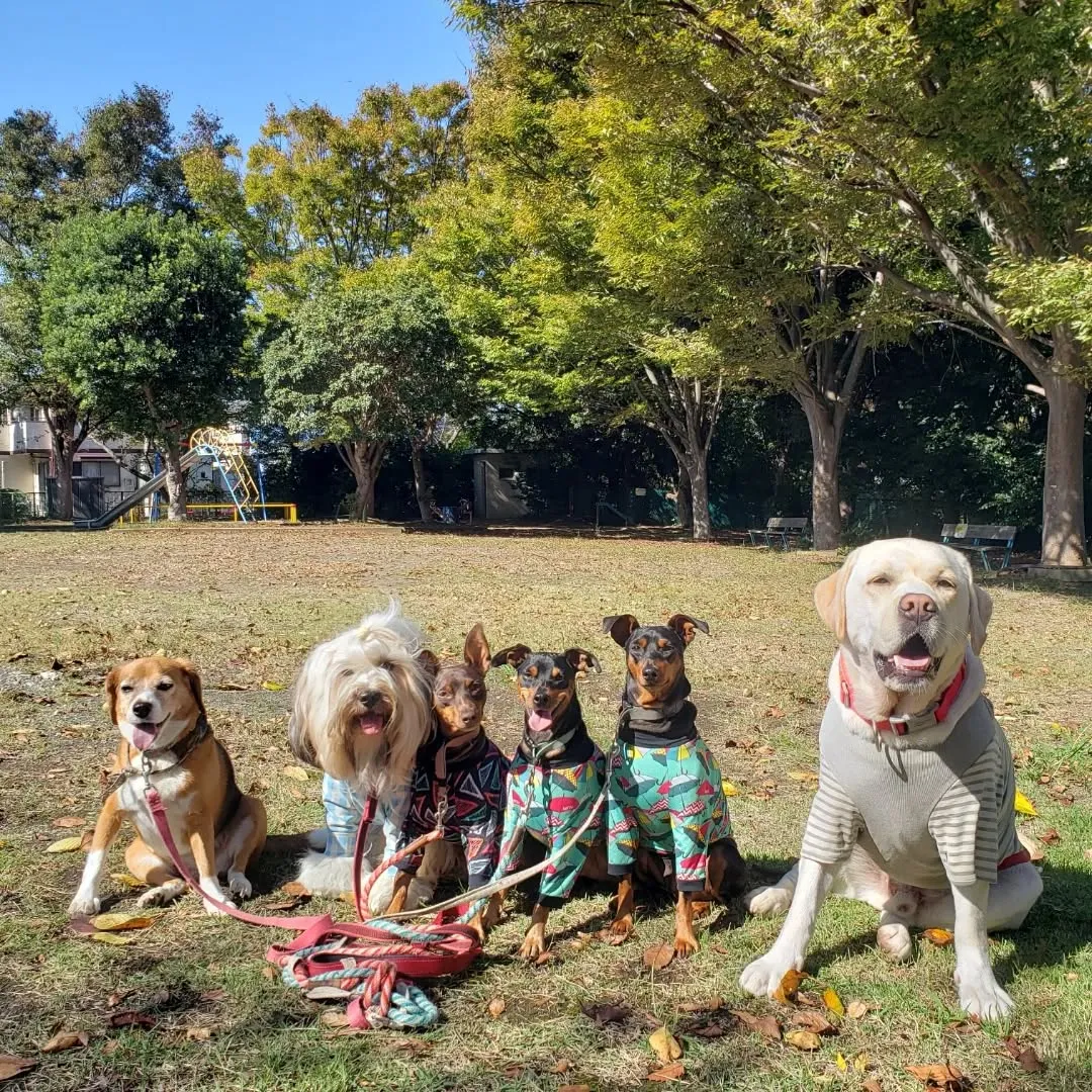 良いお天気になりました🎵
