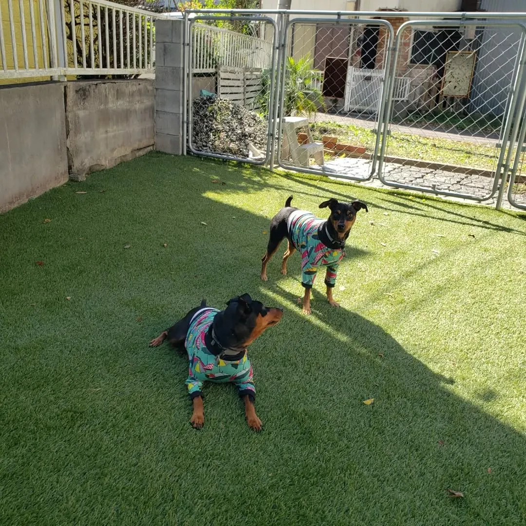 良いお天気になりました🎵