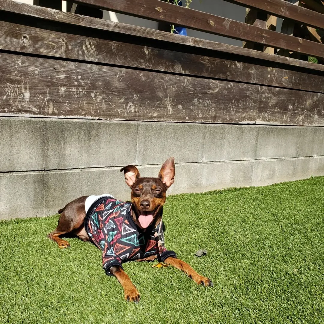 良いお天気になりました🎵