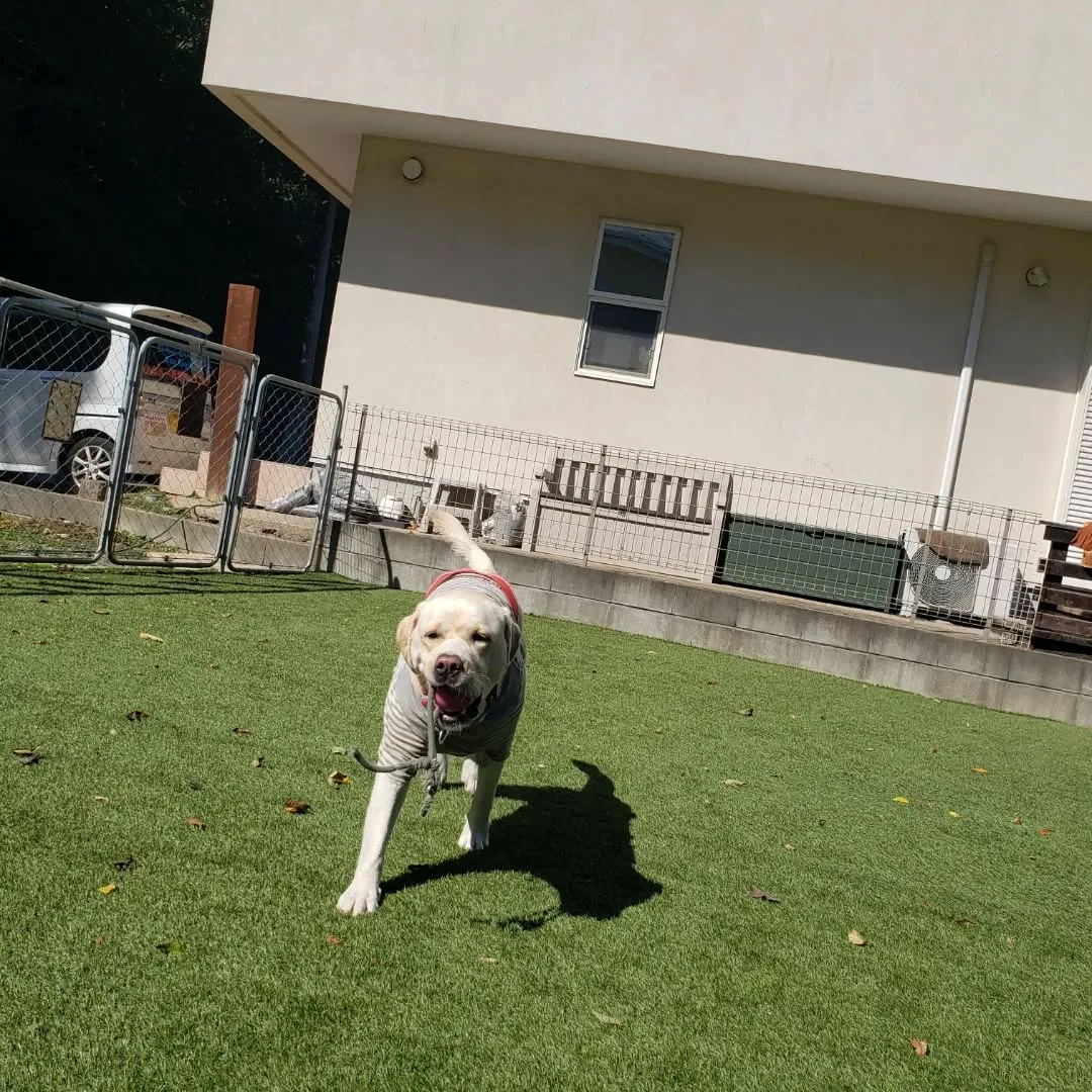 良いお天気になりました🎵