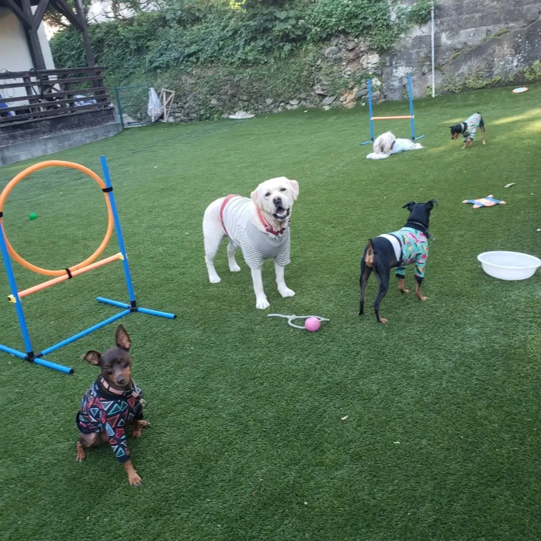 良いお天気になりました🎵