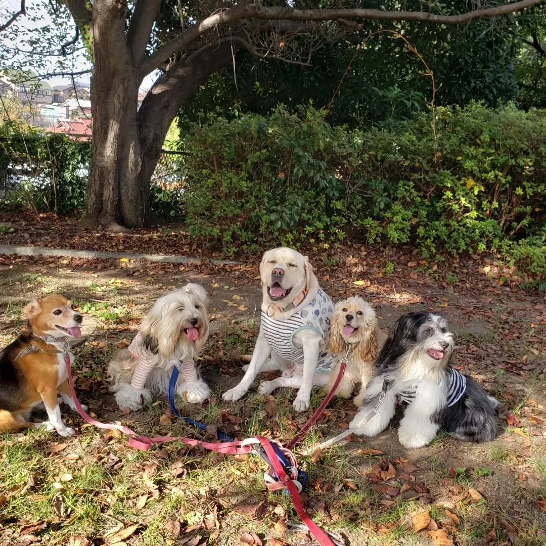 みんなでお散歩へ🎵