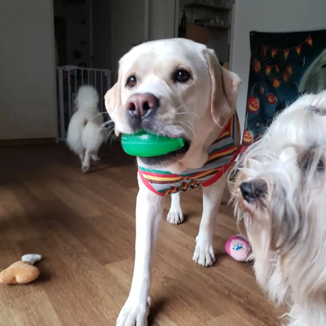 1日雨のようです😓