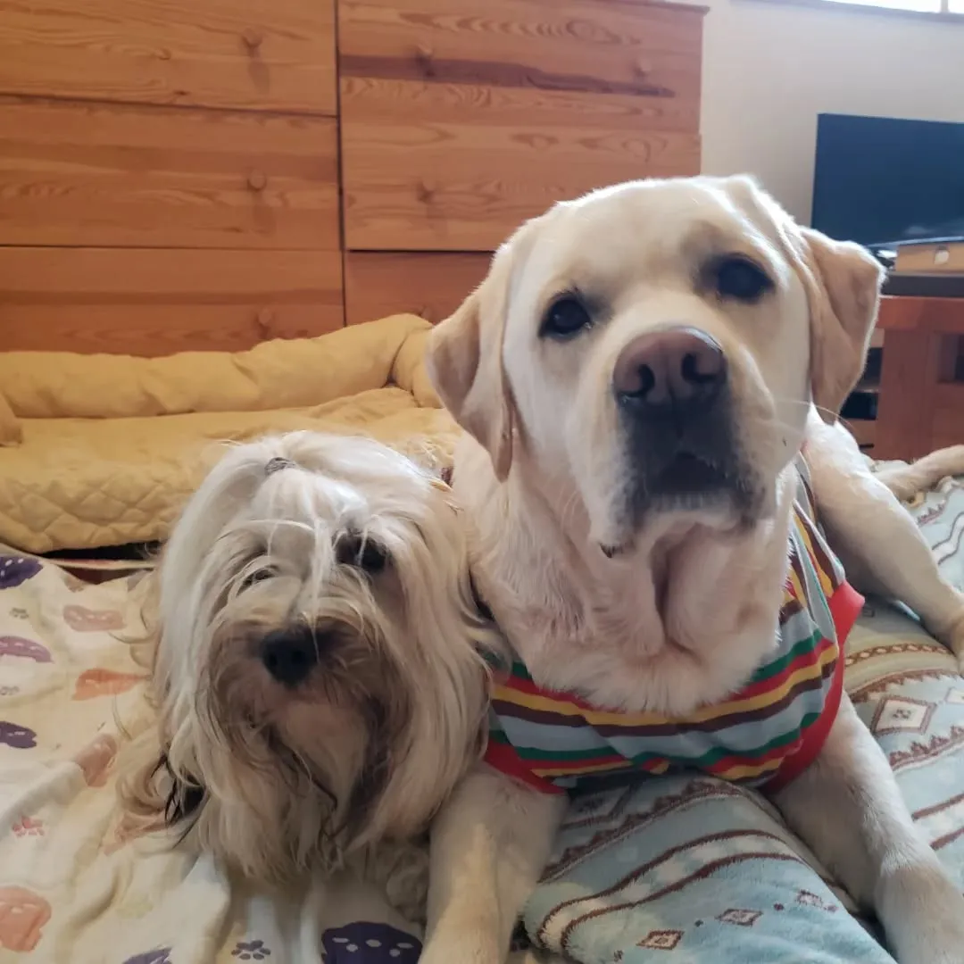 仲良しなロデイとまーちゃん♥️