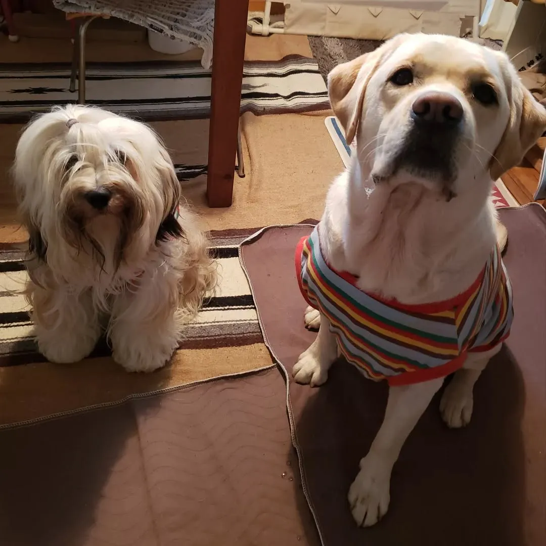 仲良しなロデイとまーちゃん♥️