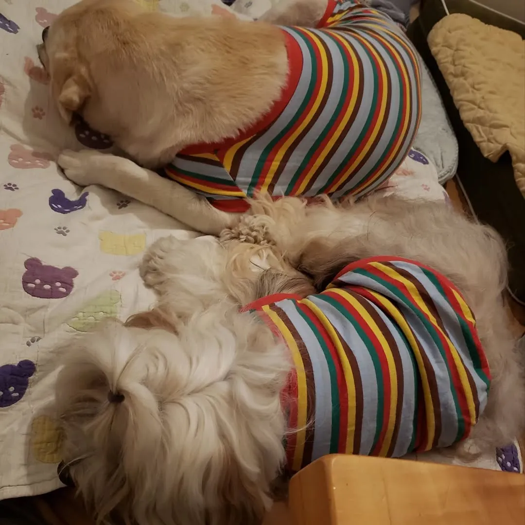 仲良しなロデイとまーちゃん♥️