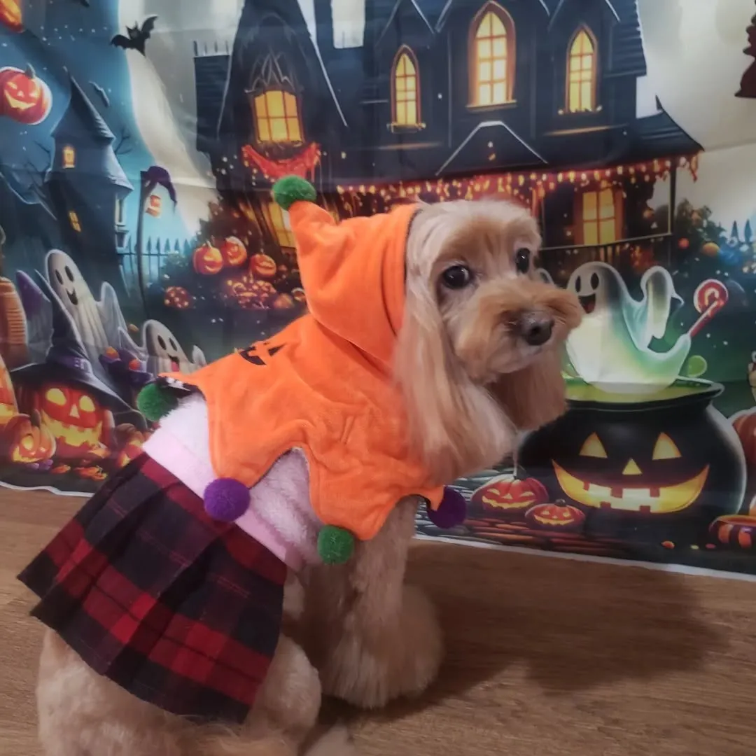 可愛いハロウィーン🎃