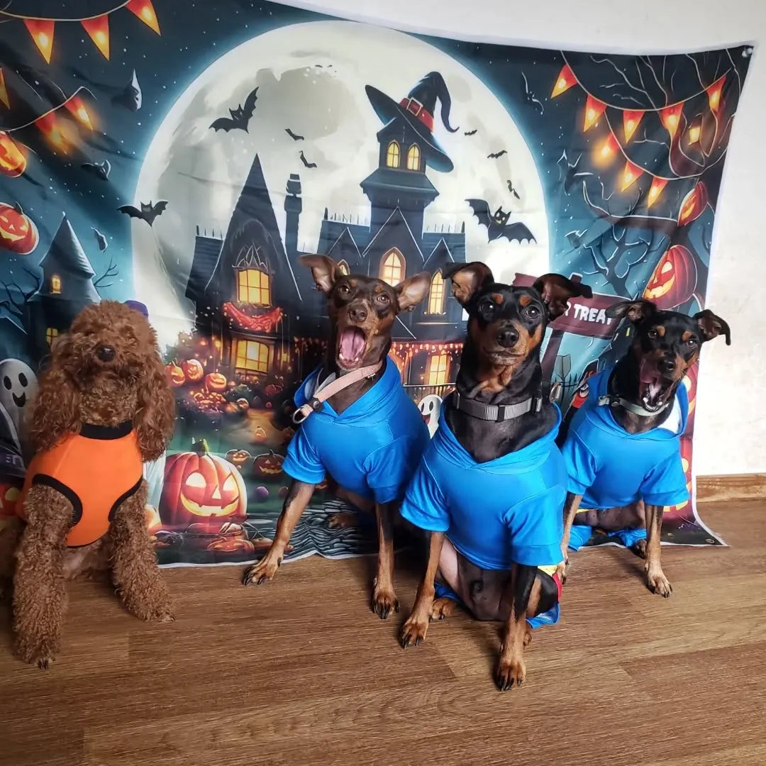 🎃ハロウィーンわんこ会🐶