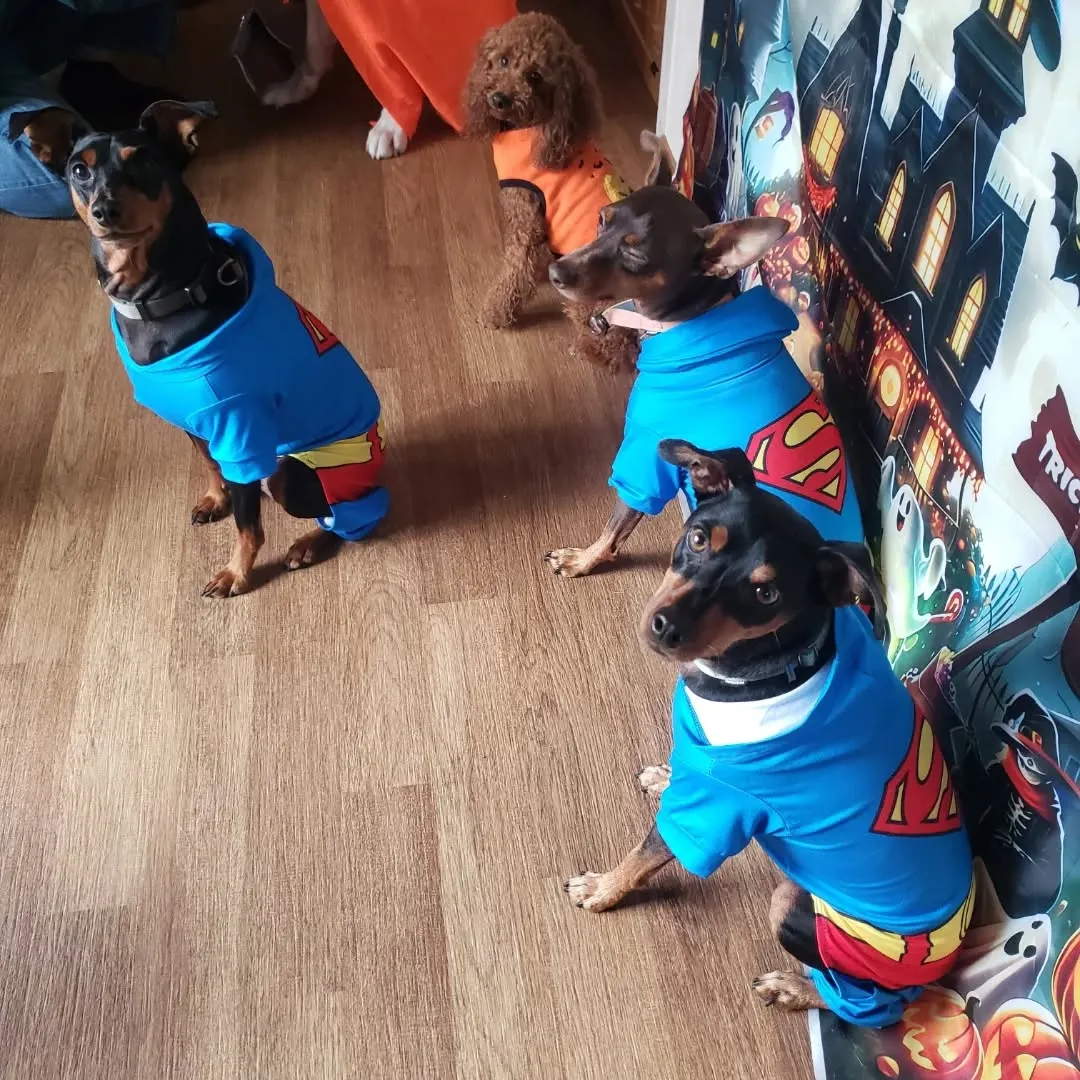 🎃ハロウィーンわんこ会🐶