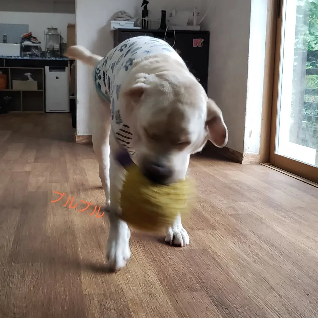 1日中雨のようです😓