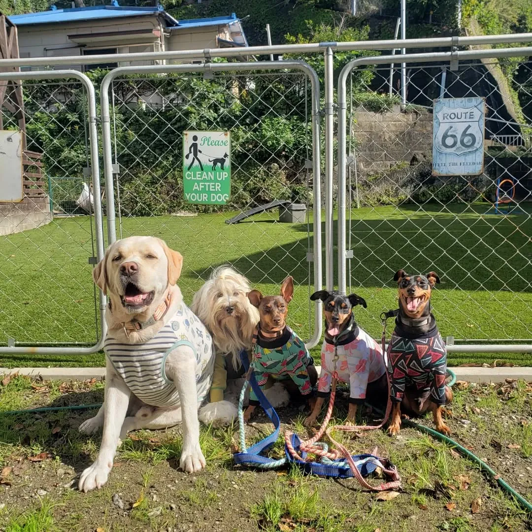 良いお天気になったのでたっぷりお散歩へ行ってきました😊