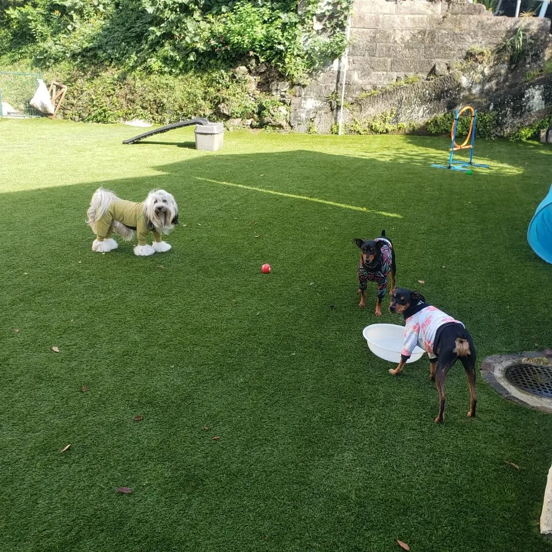 良いお天気になったのでたっぷりお散歩へ行ってきました😊