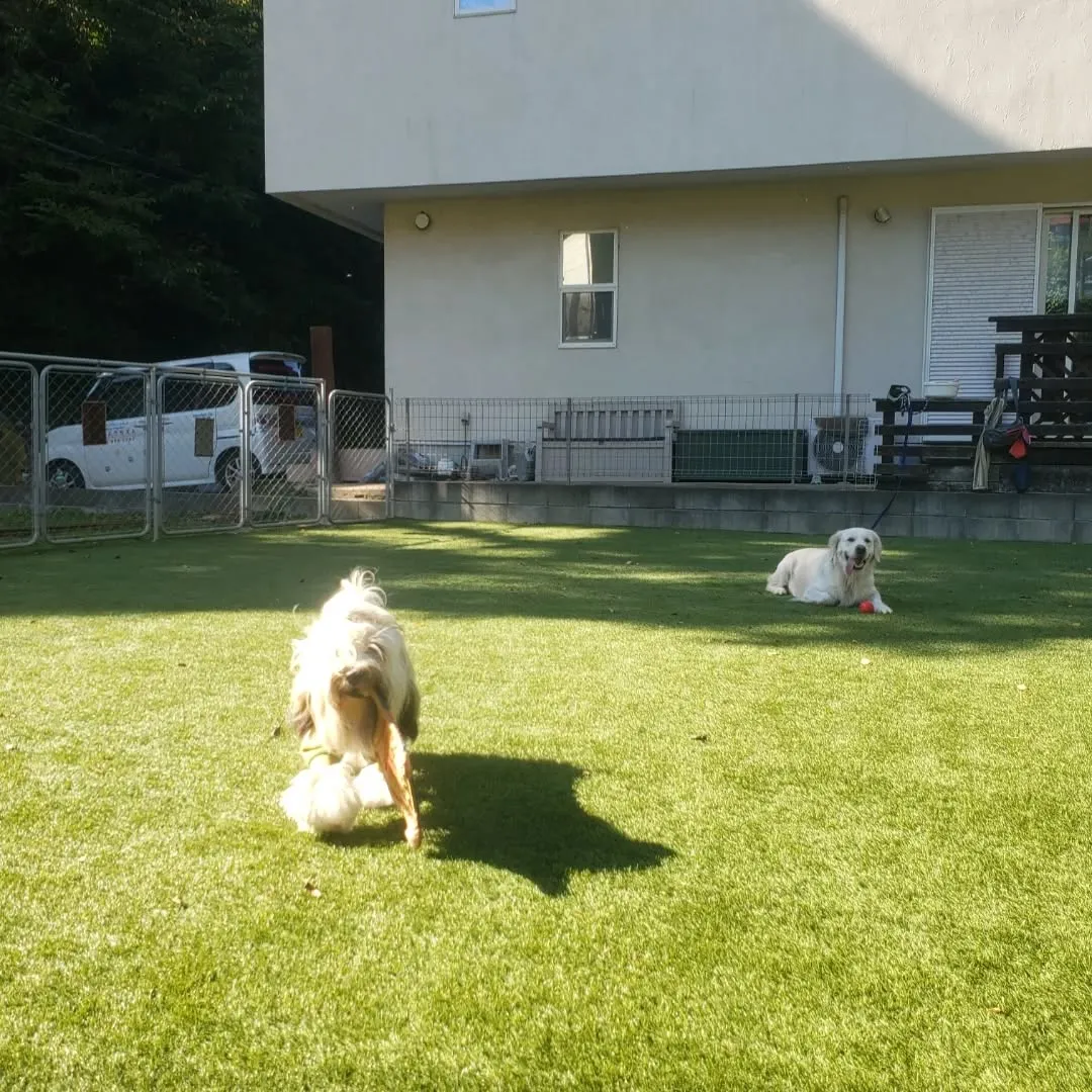 良いお天気になったのでたっぷりお散歩へ行ってきました😊