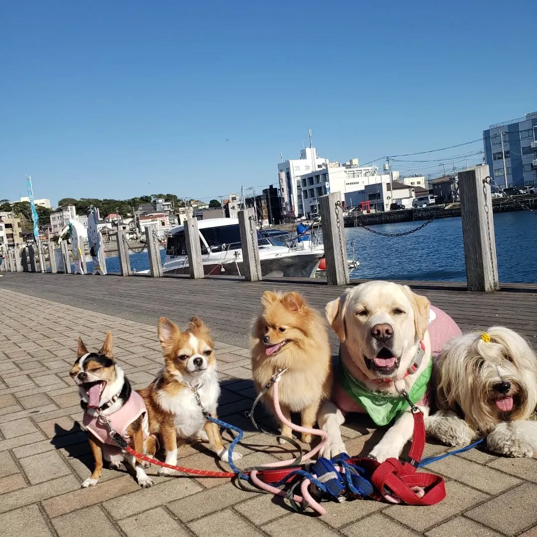 今日も良いお天気☀️