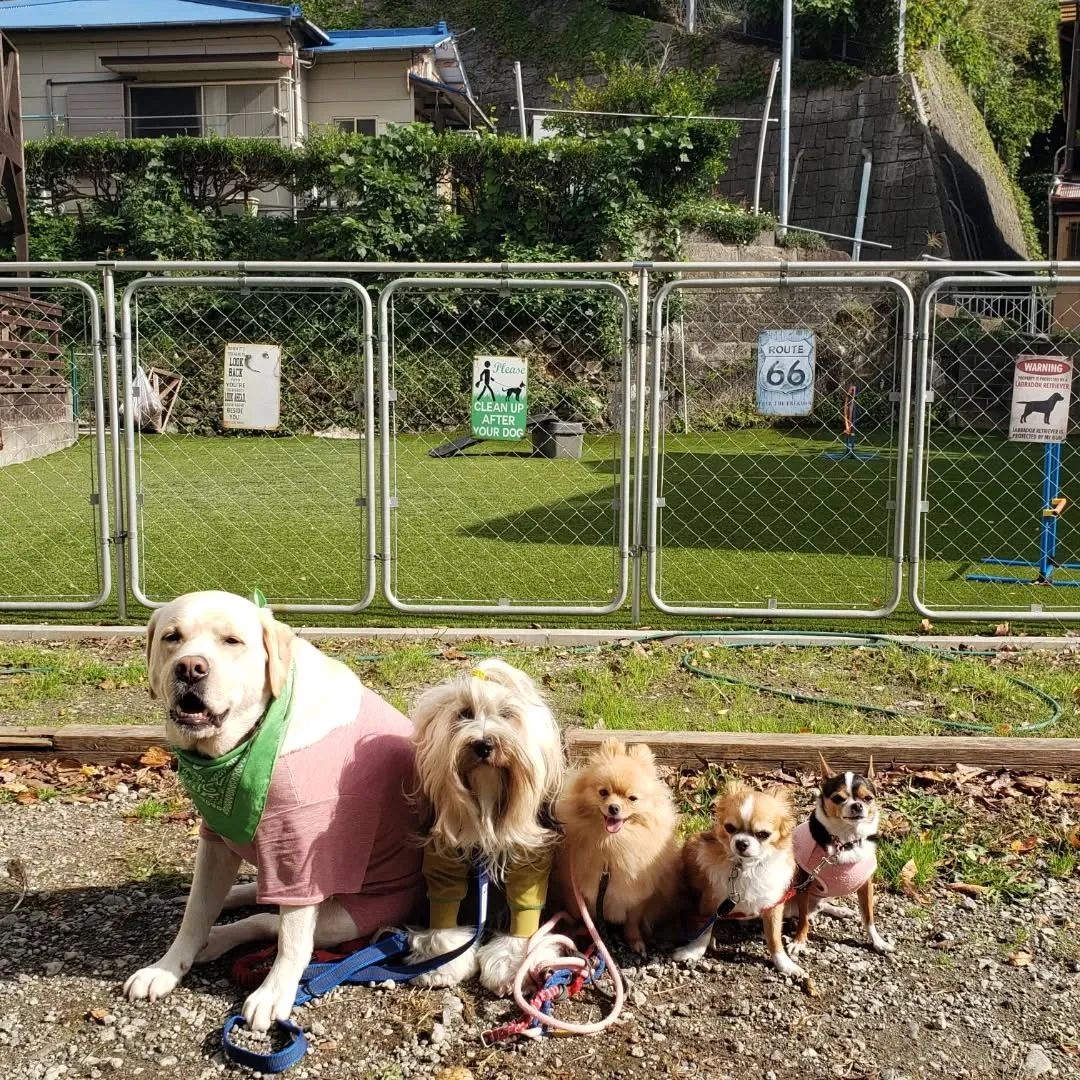 今日も良いお天気☀️