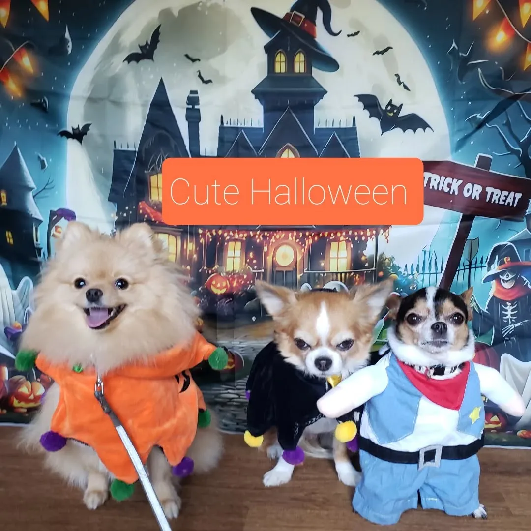 みんなでハロウィーン仮装🎃♥️