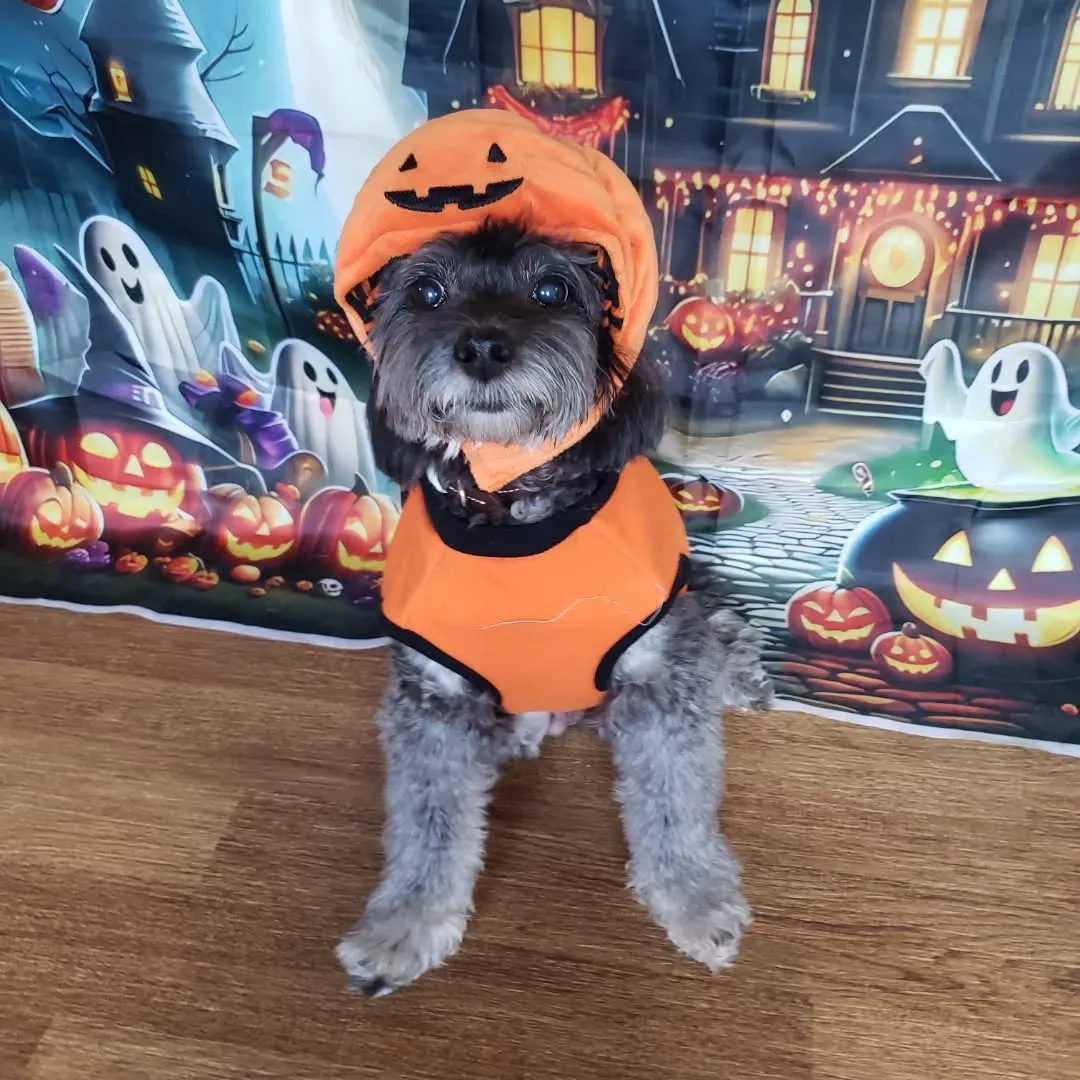 みんなでハロウィーン仮装🎃♥️