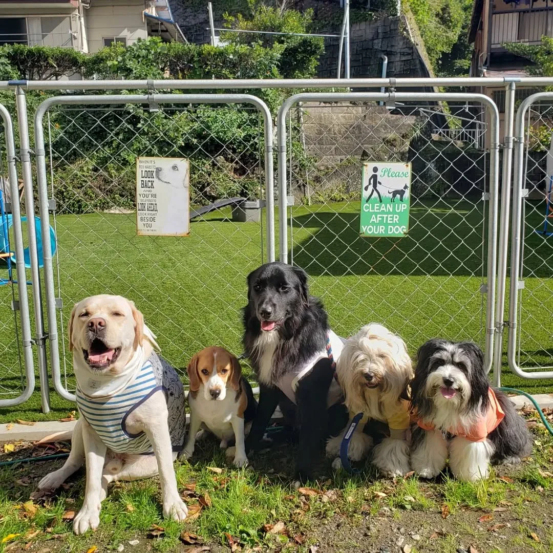 昨日の雨も止んでよいお天気になりました😊