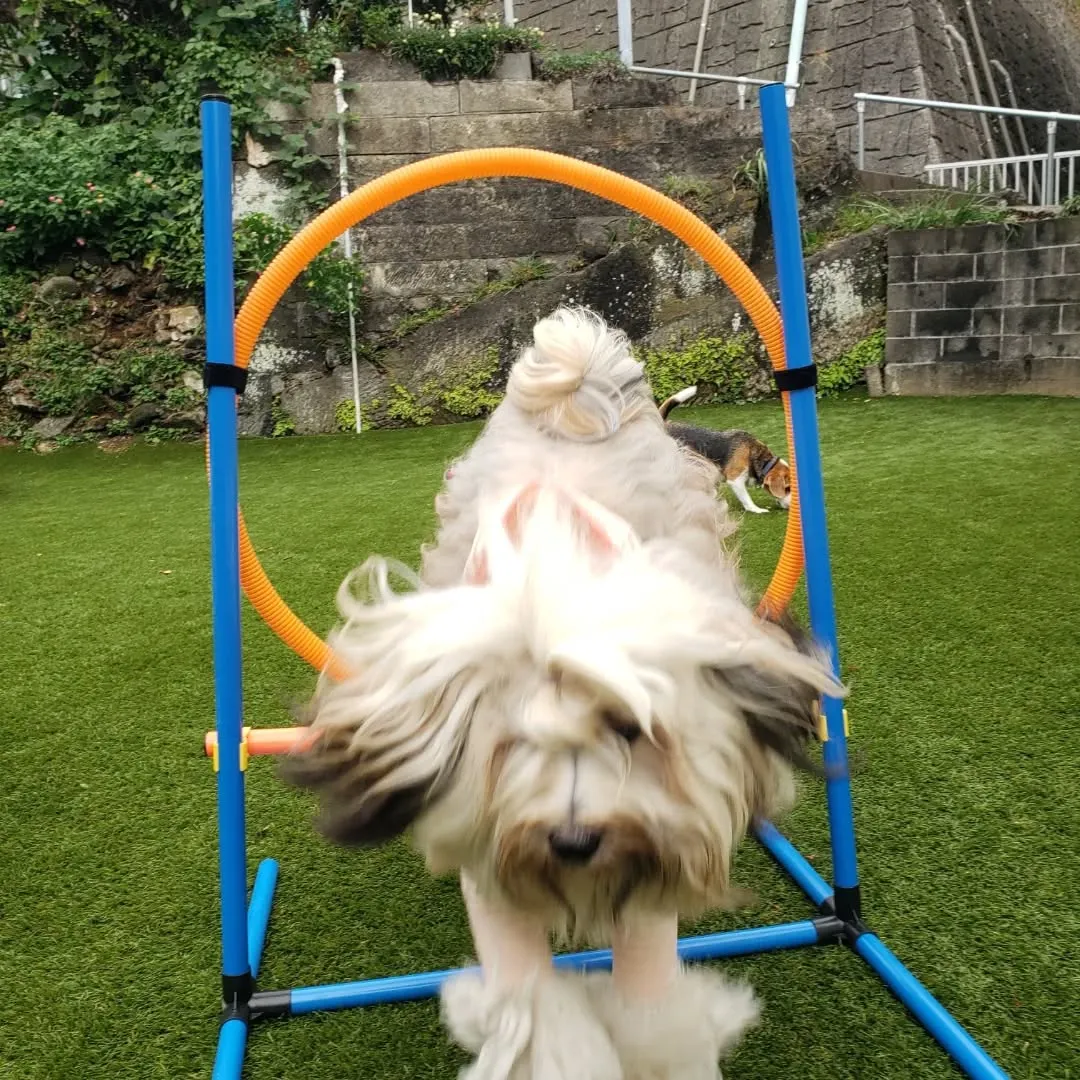 昨日の雨も止んでよいお天気になりました😊