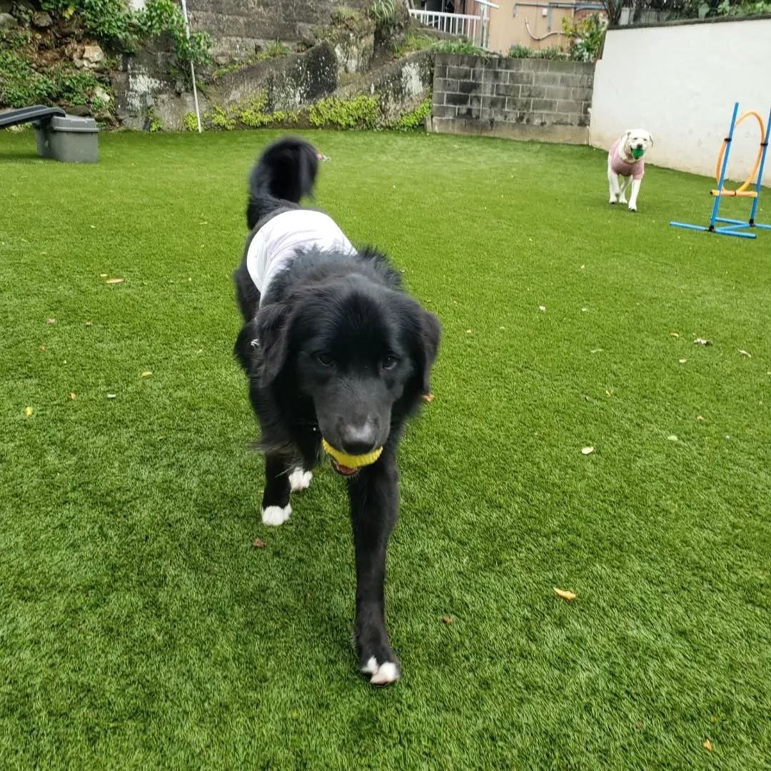 昨日の雨も止んでよいお天気になりました😊