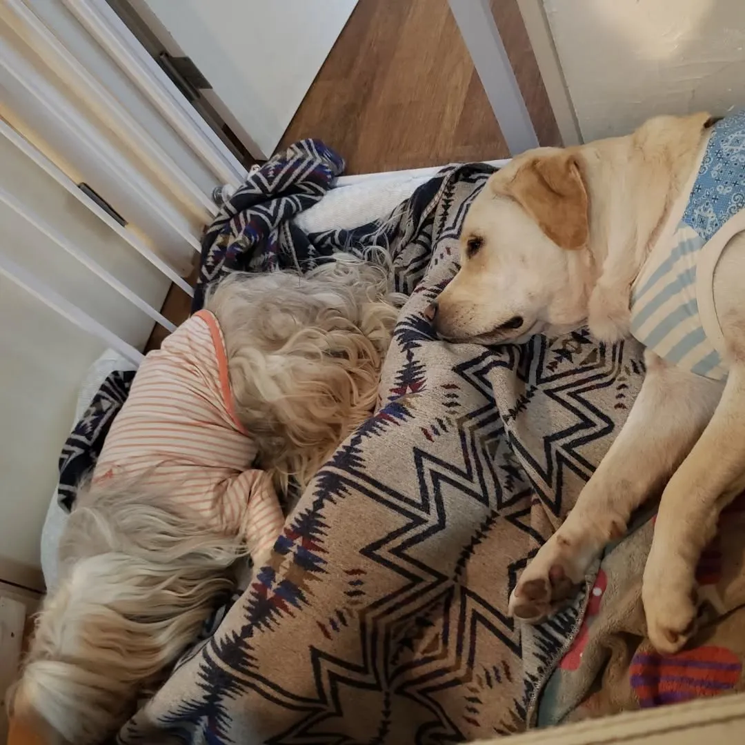 シャンプーday♥️