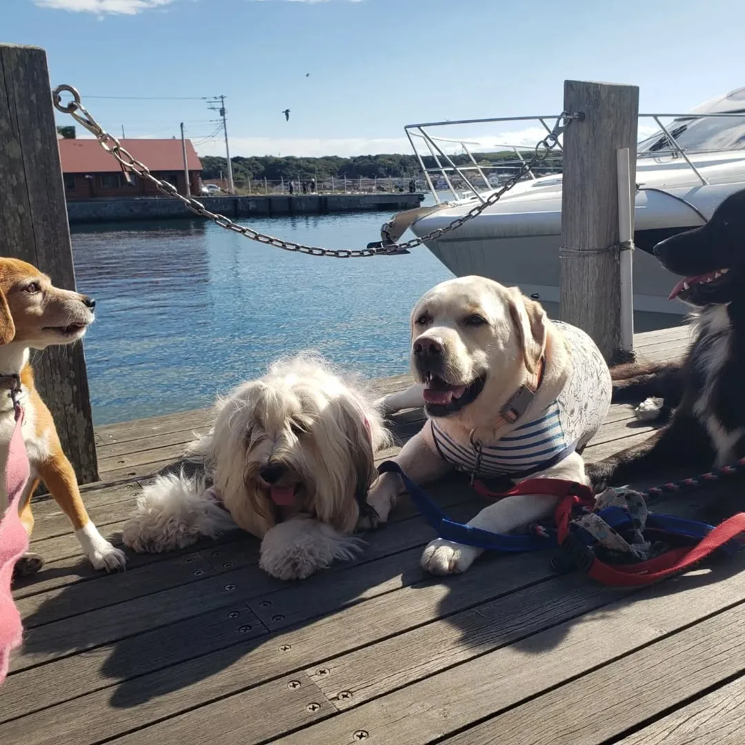 三崎までお散歩へ🎵