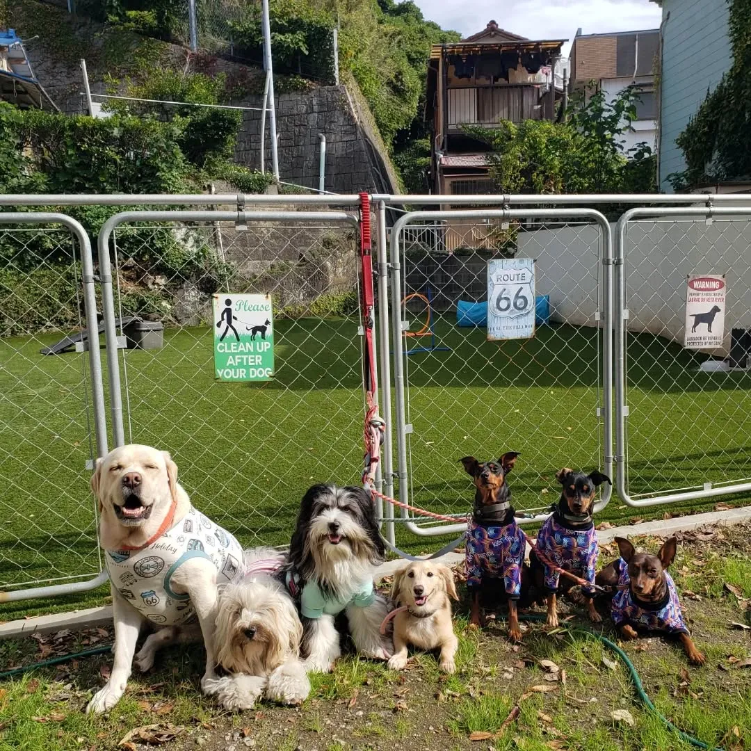 朝はみんなでお散歩へ🎵