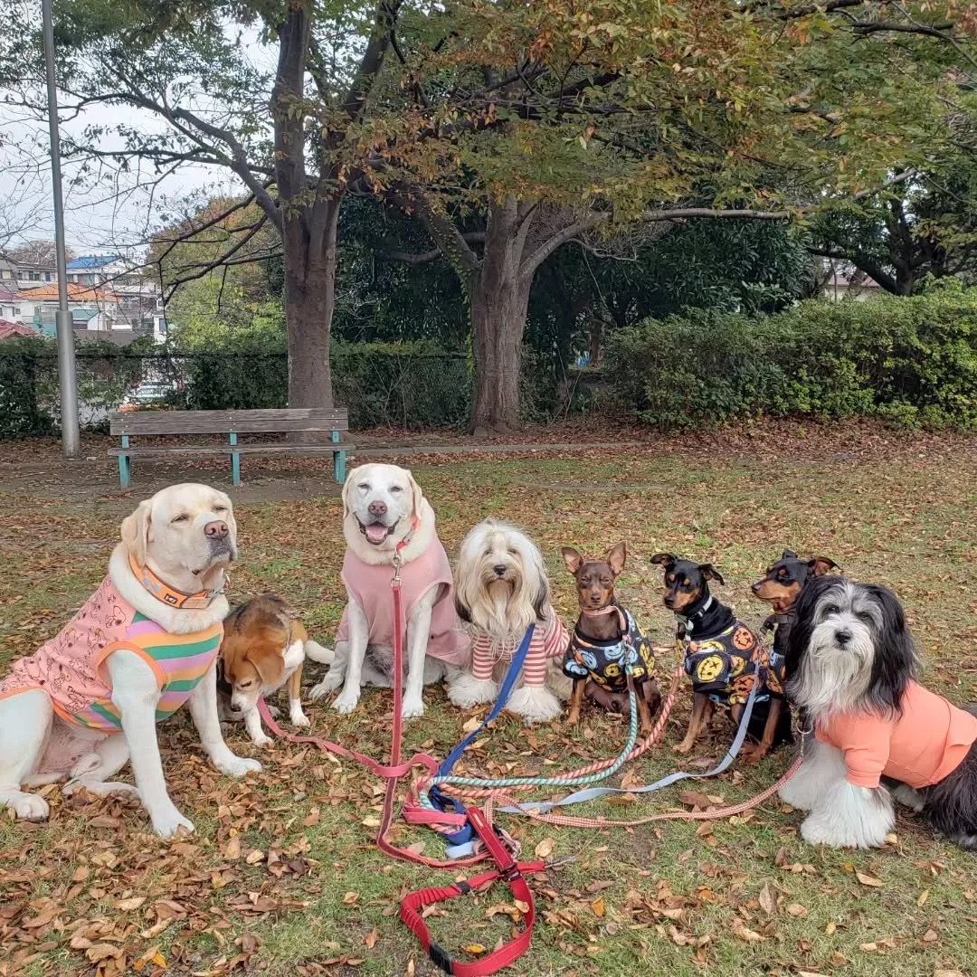 秋になりましたね😊