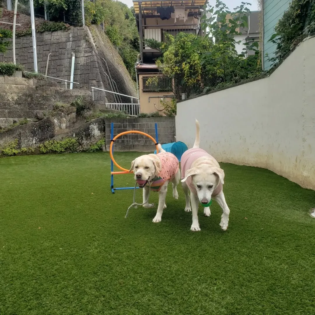 秋になりましたね😊