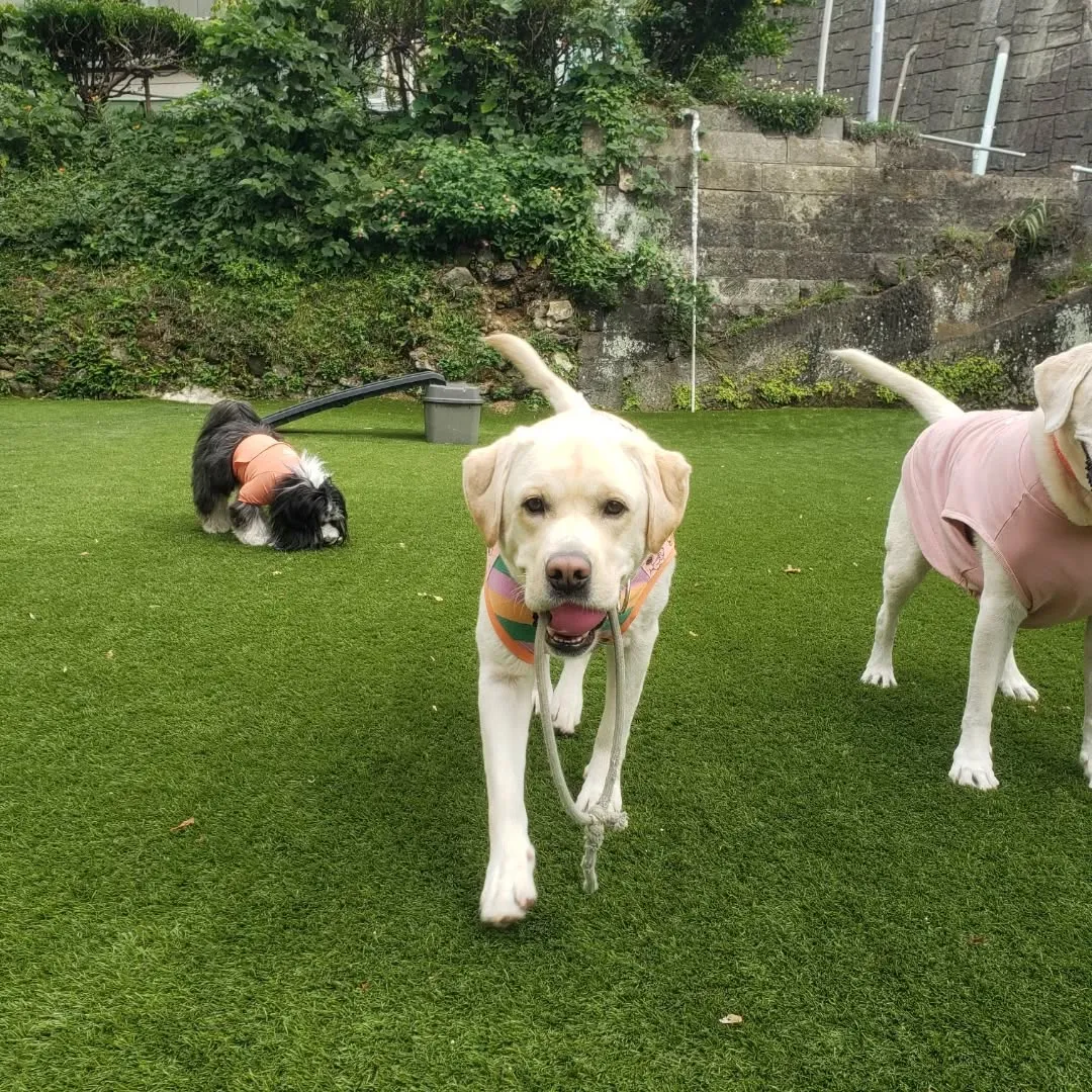 秋になりましたね😊