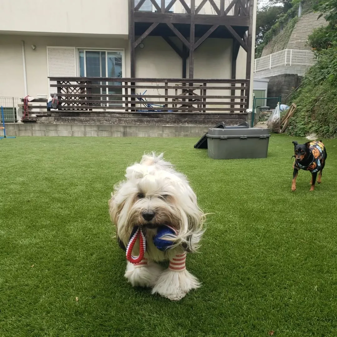 秋になりましたね😊