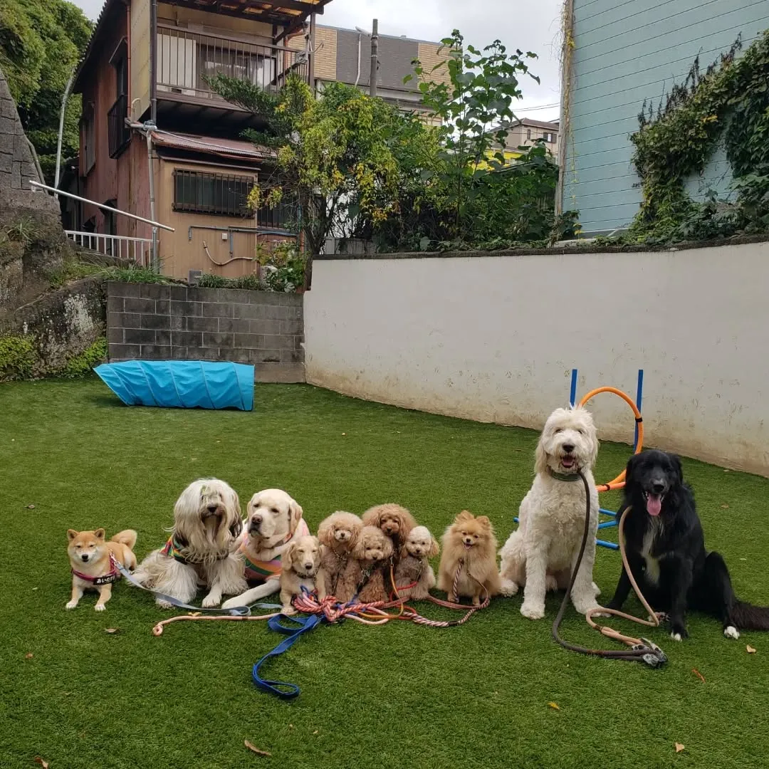 次のグループは可愛いちびっこ登場❗