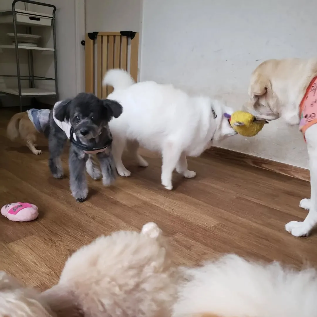 次のグループは可愛いちびっこ登場❗