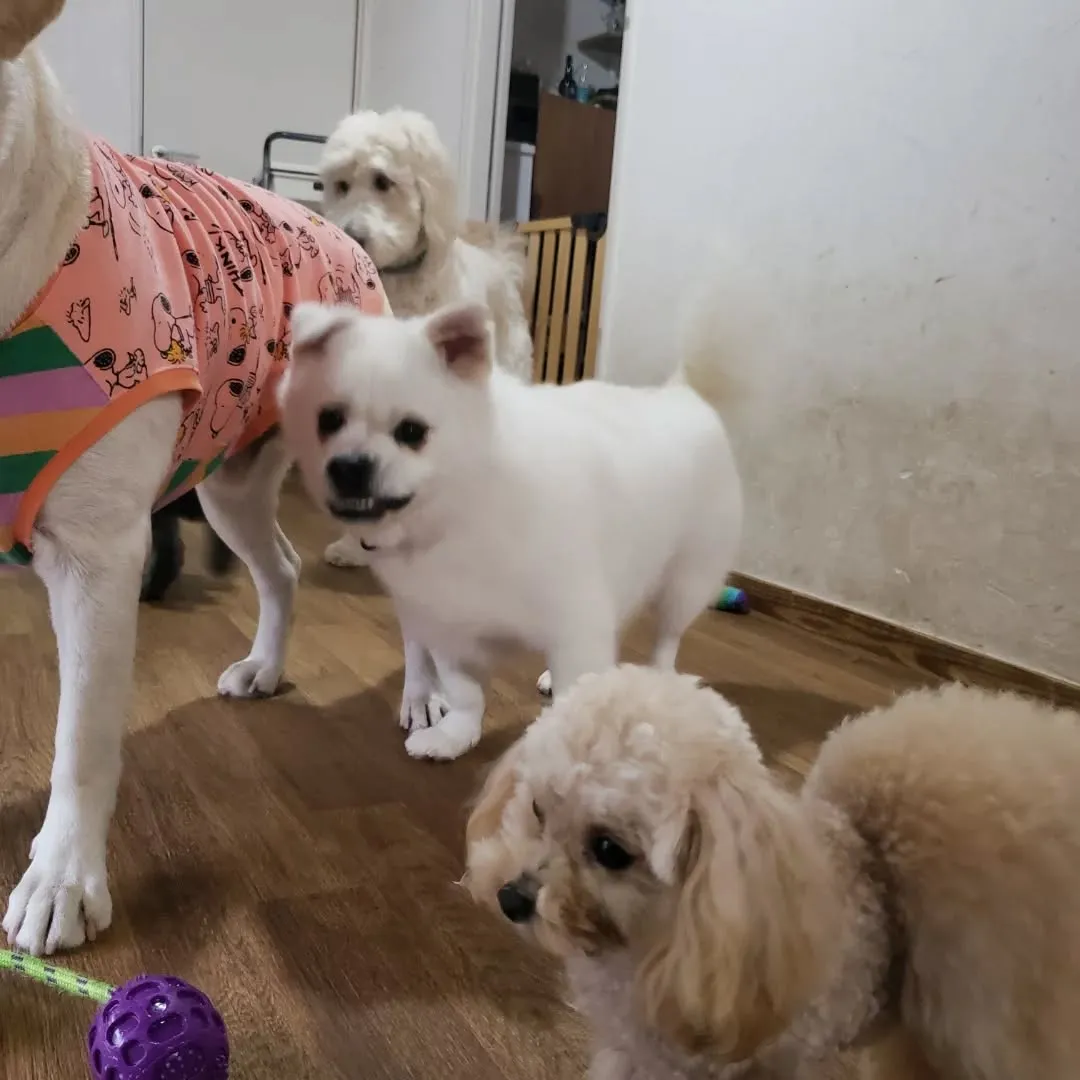 次のグループは可愛いちびっこ登場❗