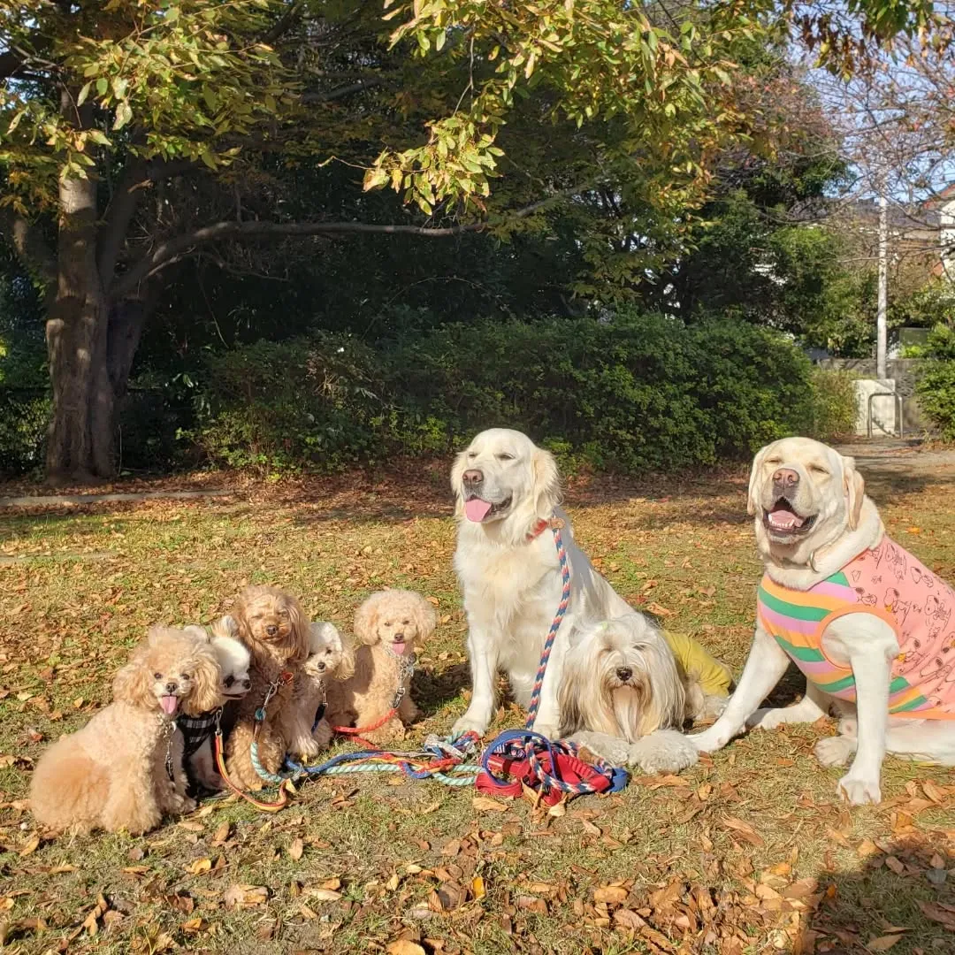 午後からは雪ちゃんも参加しました😊