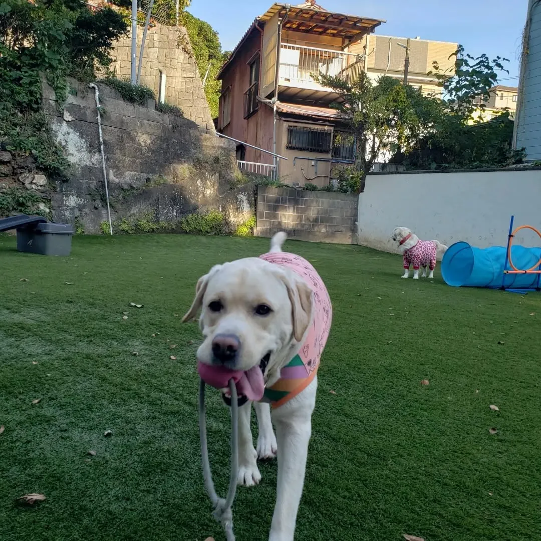 午後からは雪ちゃんも参加しました😊