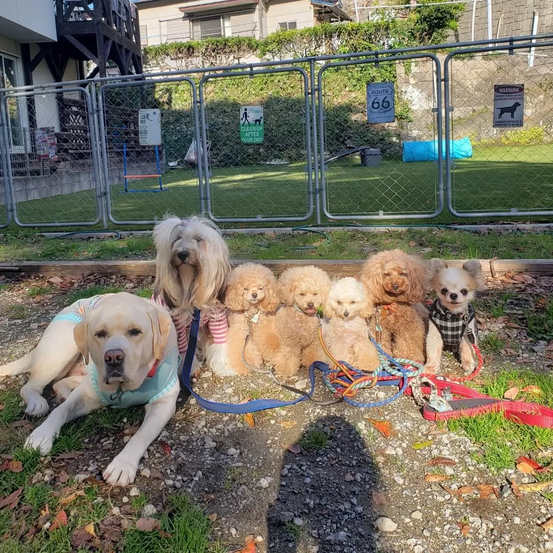 良いお天気でなにより😊