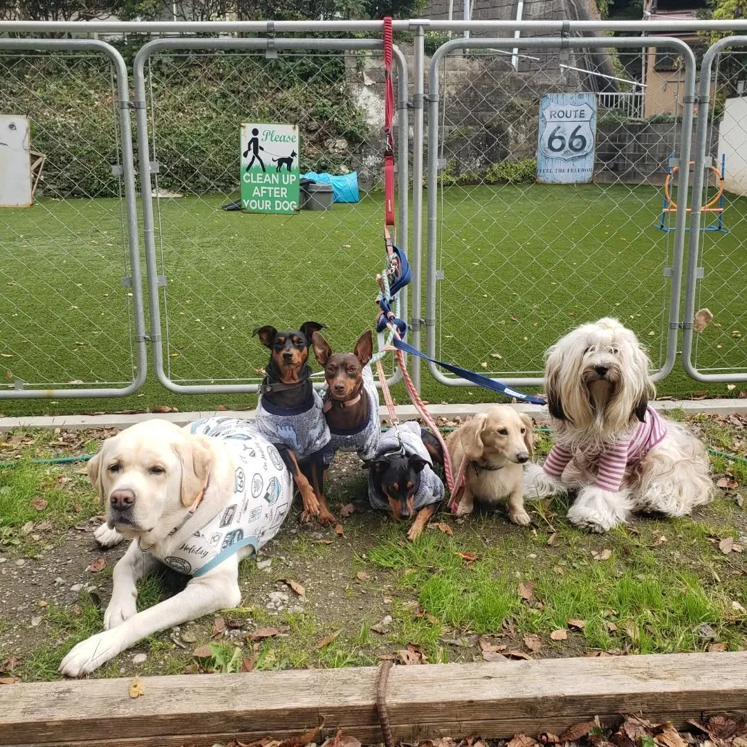 朝はみんなでお散歩へ🎵