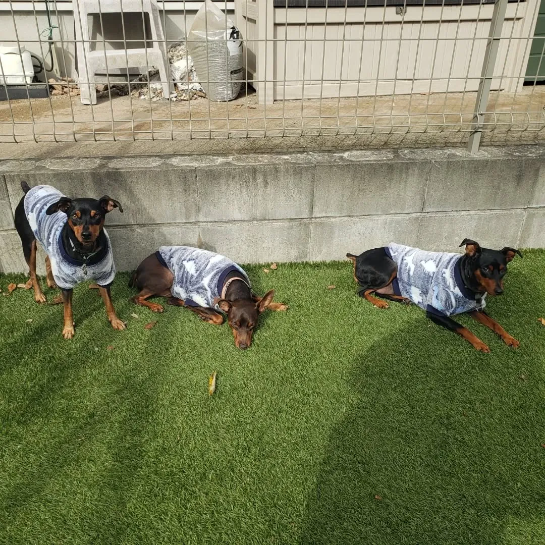 朝はみんなでお散歩へ🎵