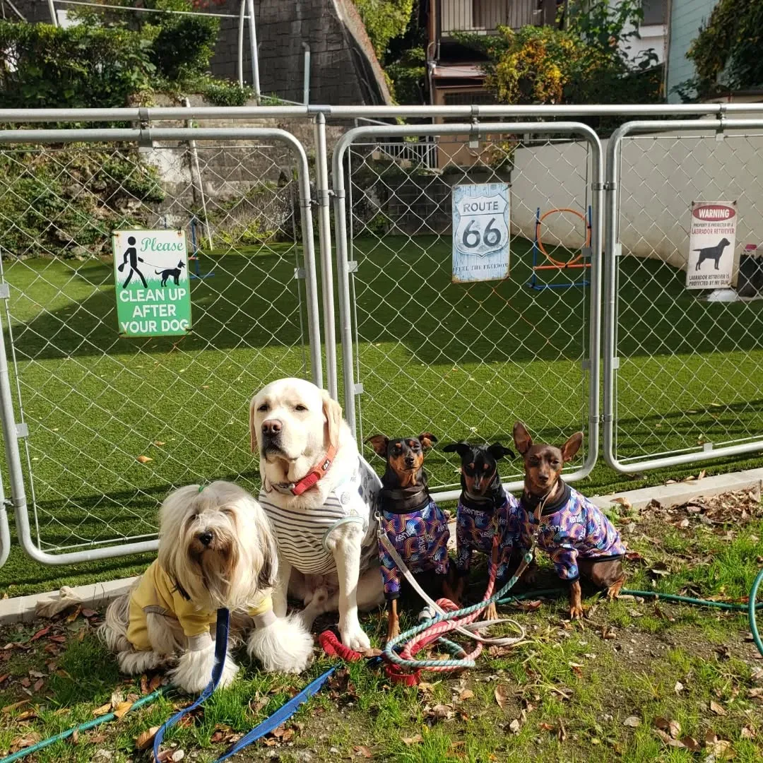 みんなでお散歩へ🎵