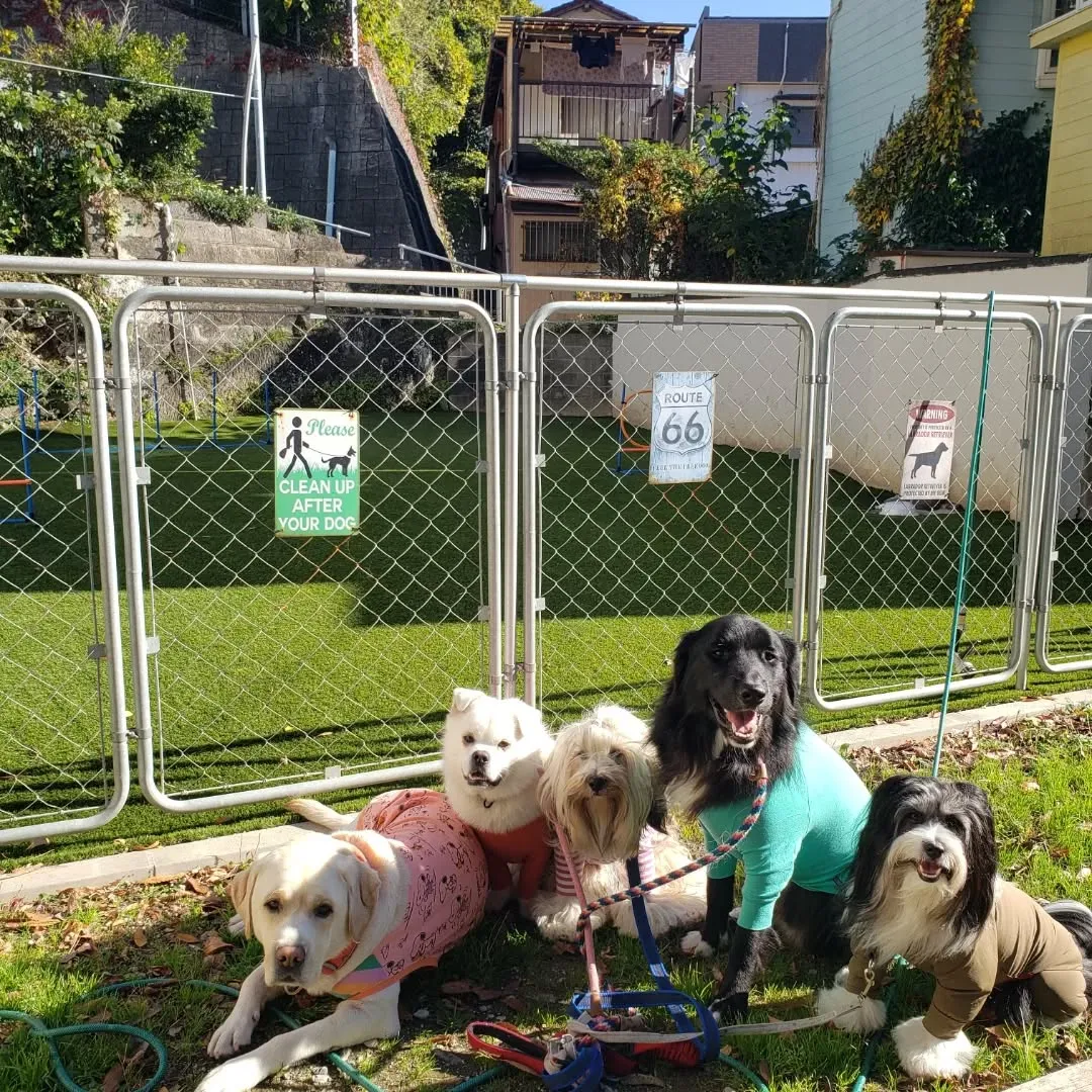 朝はみんなでお散歩へ🎵