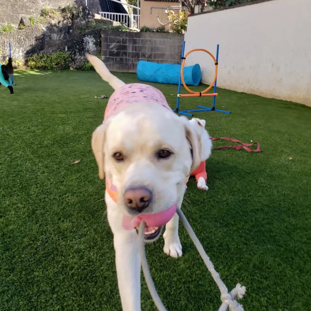 朝はみんなでお散歩へ🎵