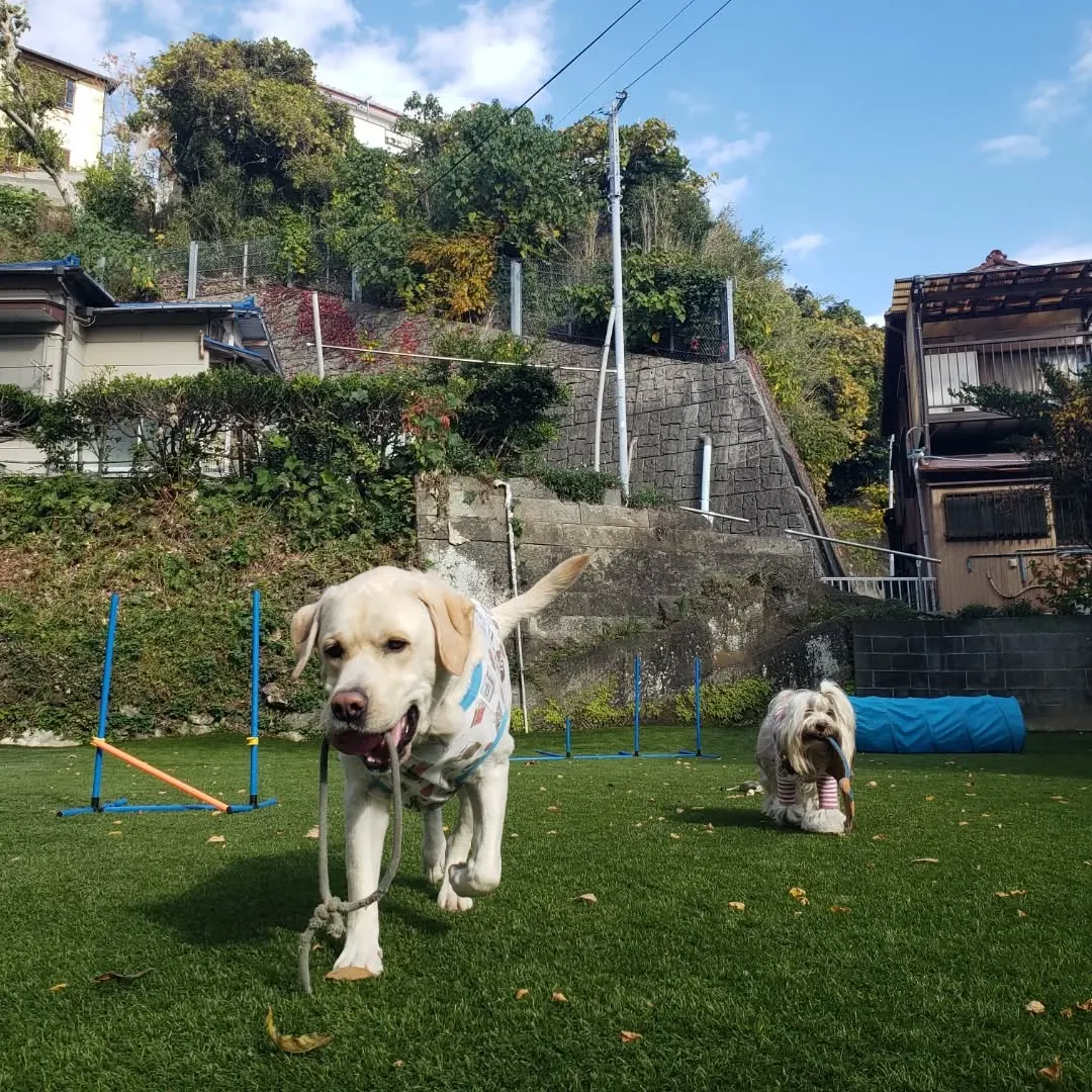 良いお天気が続いてなにより😊