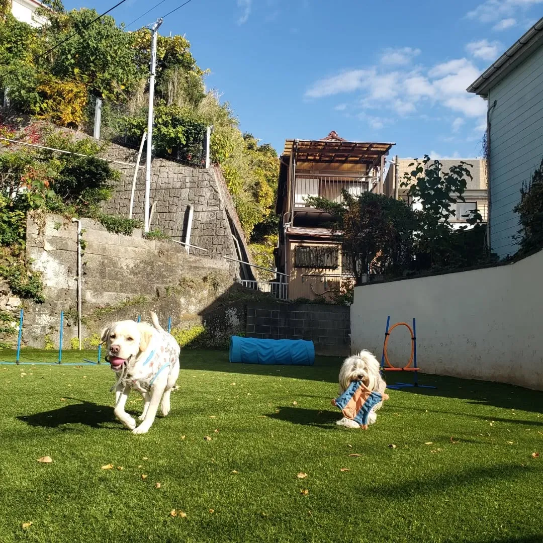 良いお天気が続いてなにより😊