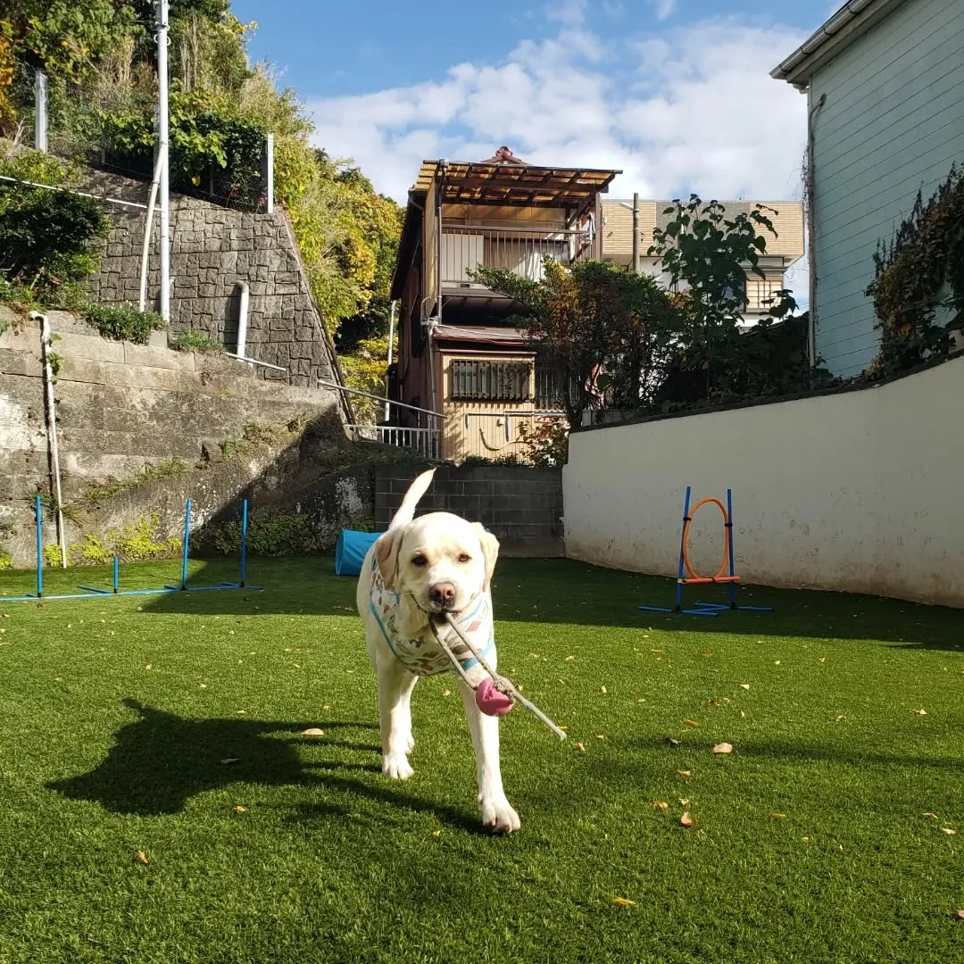 良いお天気が続いてなにより😊